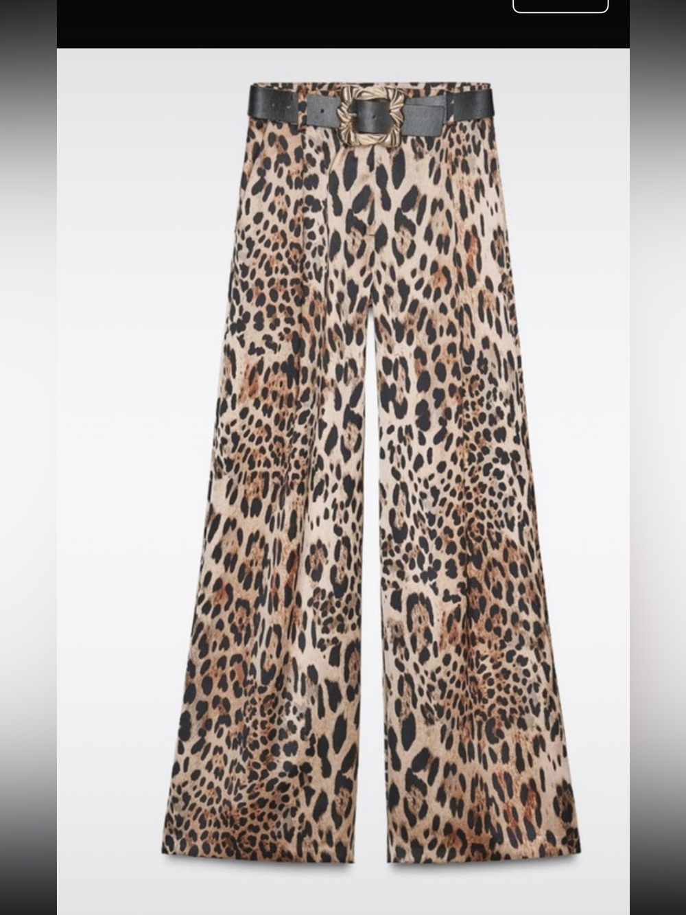 Zara Leopard-Print Wide-Leg Pants in Brown and Black - Picture 2 of 6